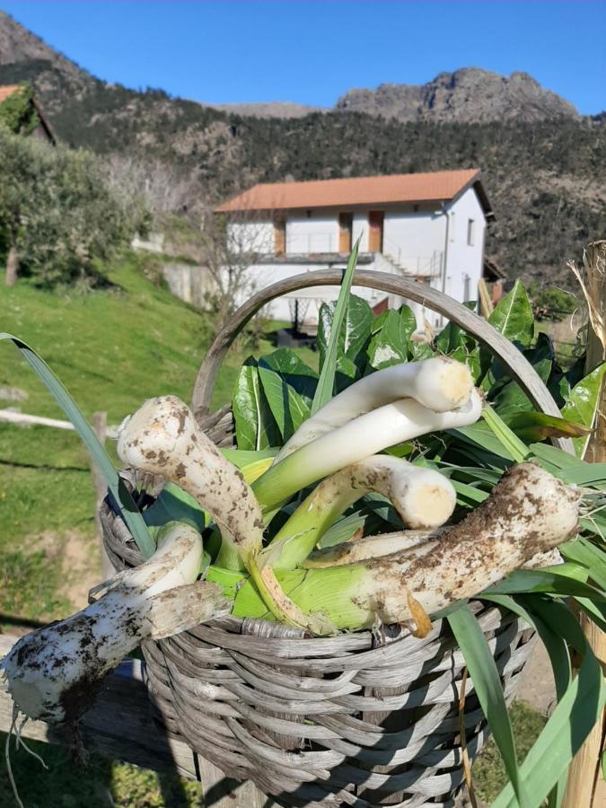 Agriturismo Grilla Villa Mele Eksteriør billede