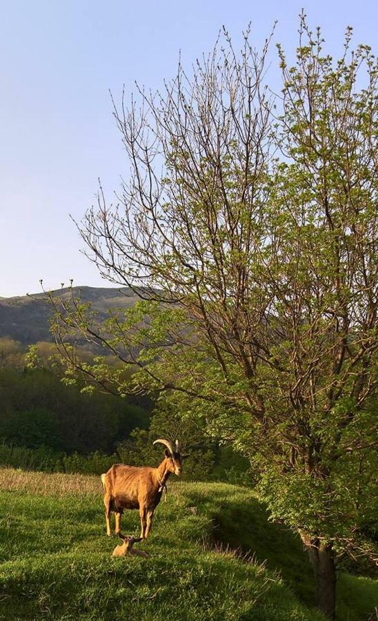 Agriturismo Grilla Villa Mele Eksteriør billede